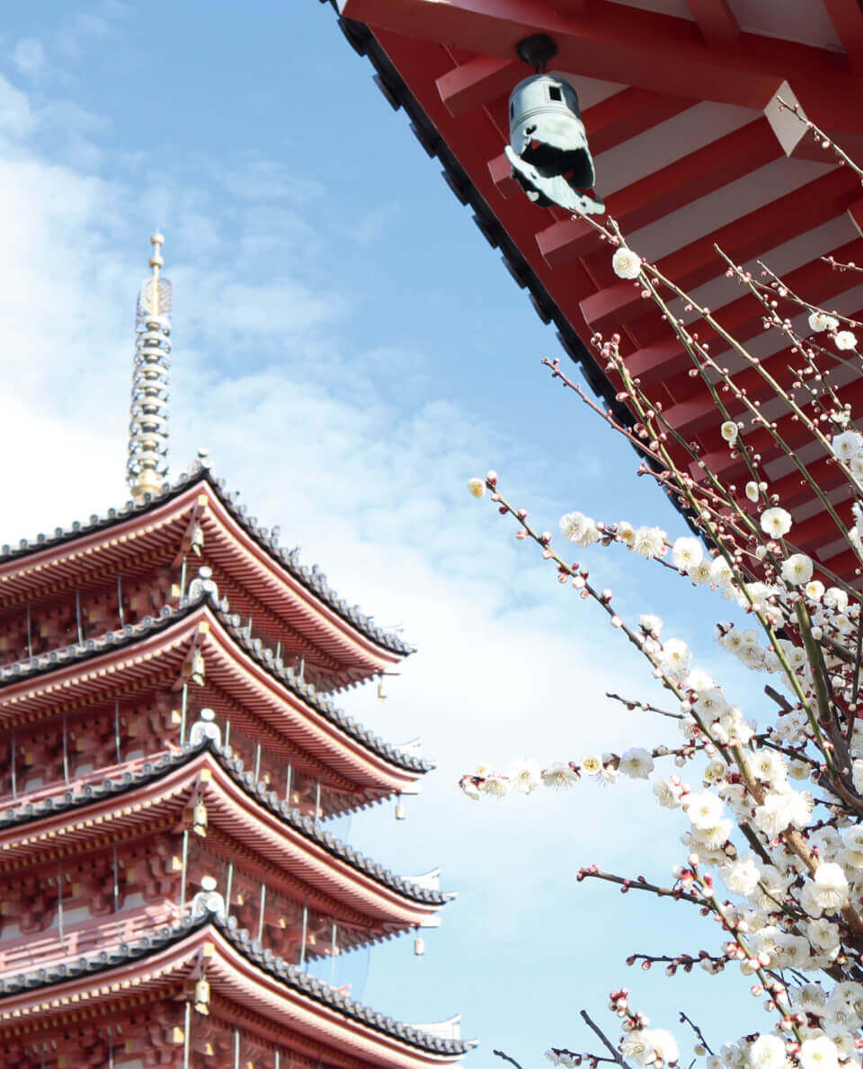 恵日山 観音寺(津観音)