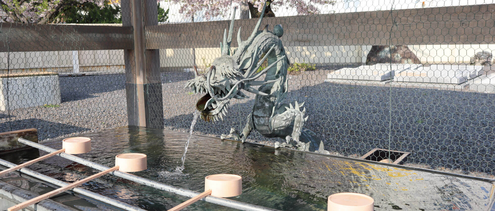 恵日山 観音寺(津観音)